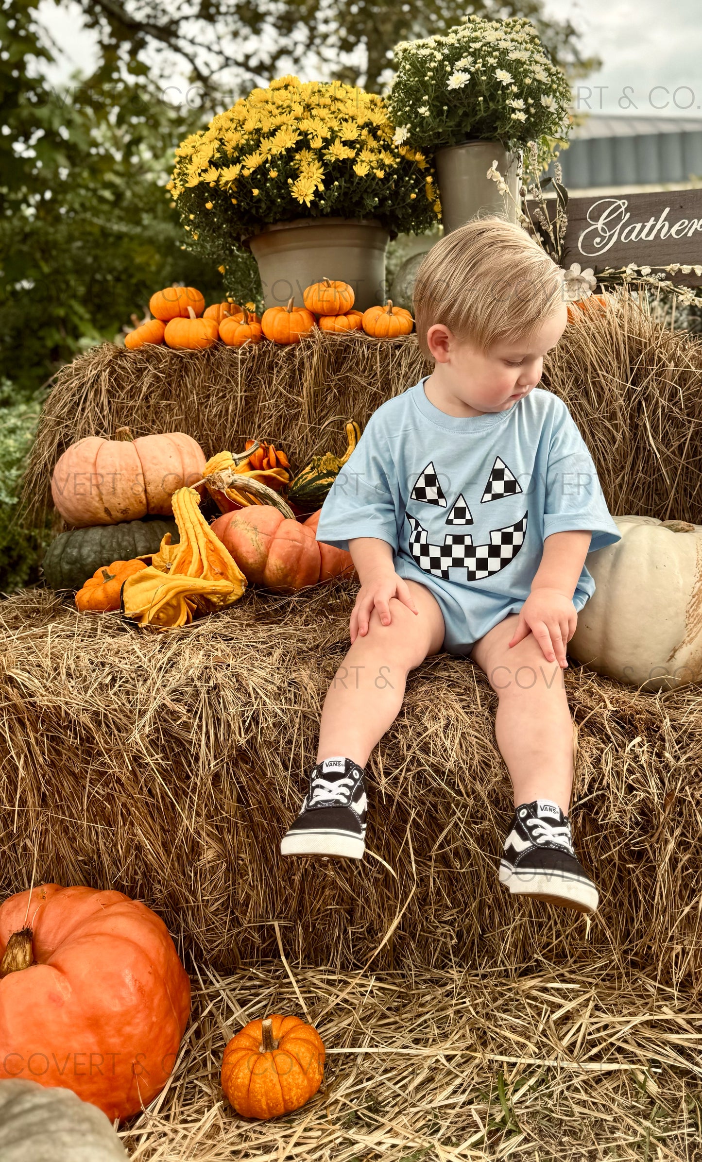 CHECKERED PUMPKIN