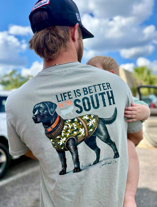 THE SOUTH