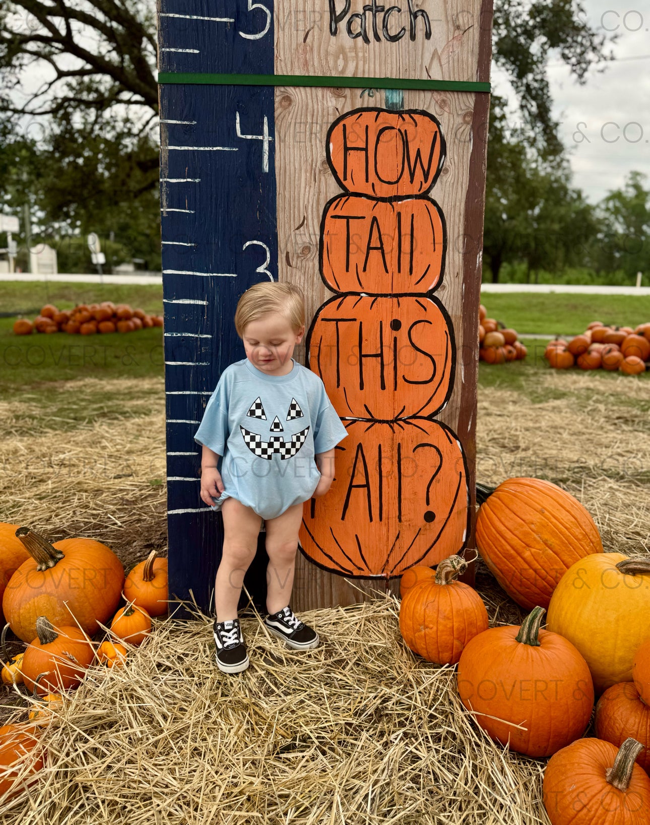 CHECKERED PUMPKIN