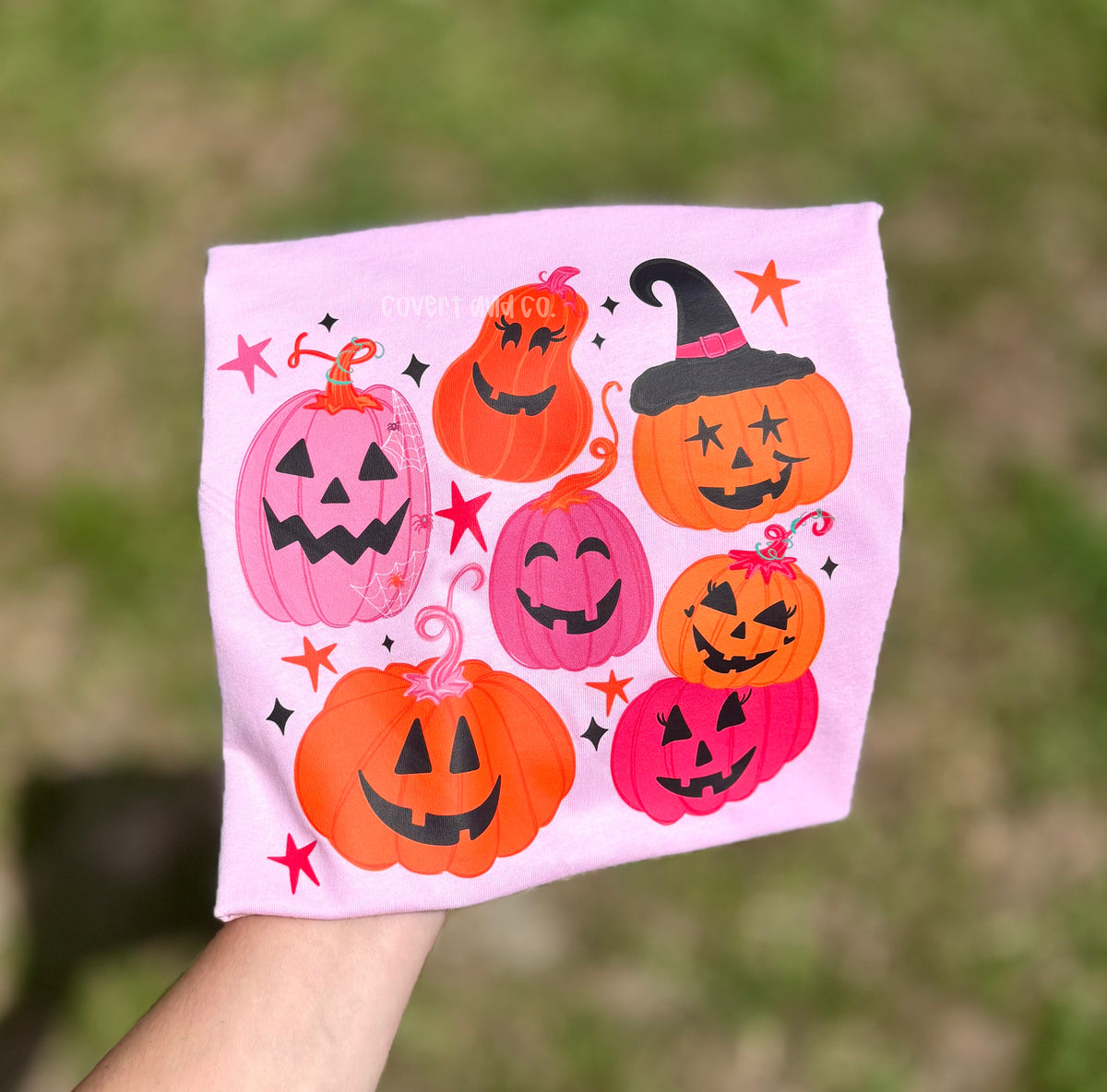 PINK + ORANGE PUMPKINS