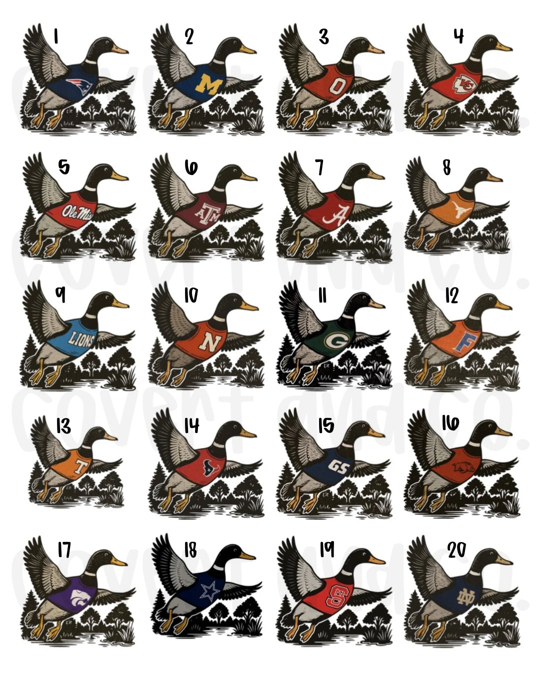DUCK + MASCOTS